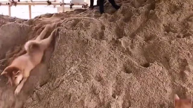 小时候的我们一模一样