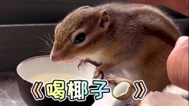 还是喝椰子健康一点！