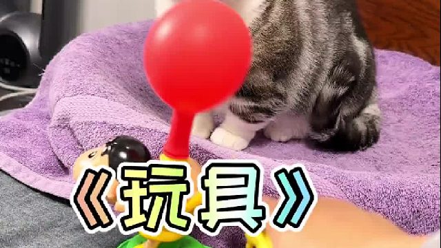 好奇心会爆炸猫！