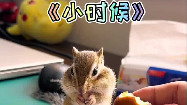 回忆一下小普洱小时候的样子！