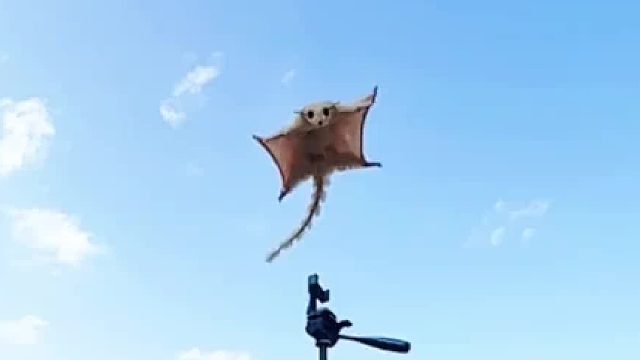 一直陪着我吧～