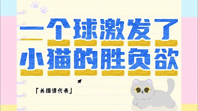 奶牛猫玩不过三秒，就暴露了本性