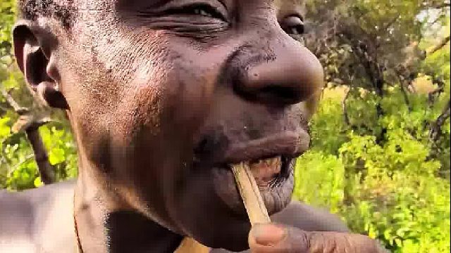 看看哈扎比人是怎么刷牙的