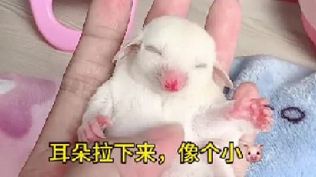 这睡眠质量也太好了，哈哈
