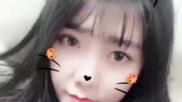 团团确认被捕，事态严重！！