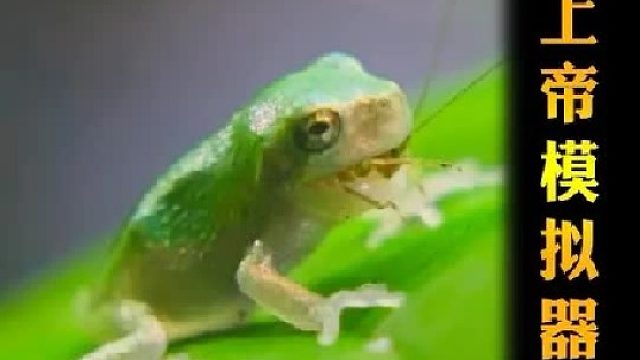 上帝模拟器之1000只树蛙蝌蚪