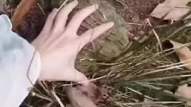 哎呀，今天碰到一个好玩的东西，好大一个癞蛤蟆