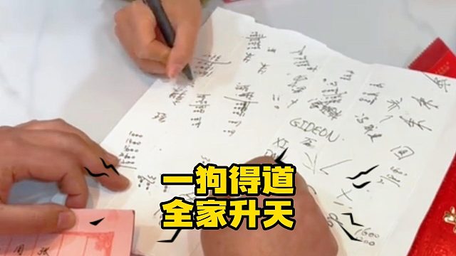 是不是每只狗狗，都有很多朋友！