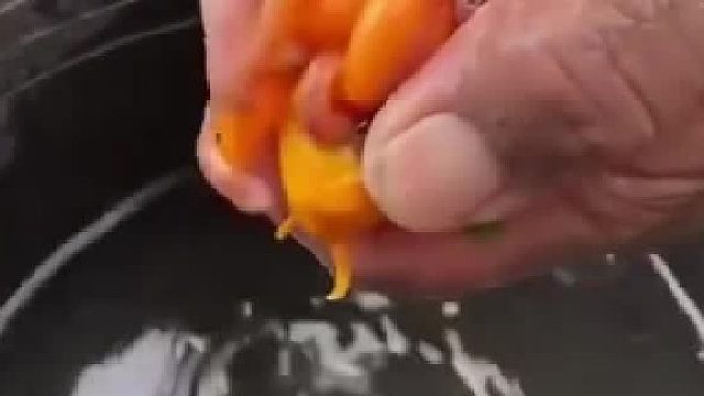 这是个鱼贩子吧 张嘴的一瞬间惊呆了