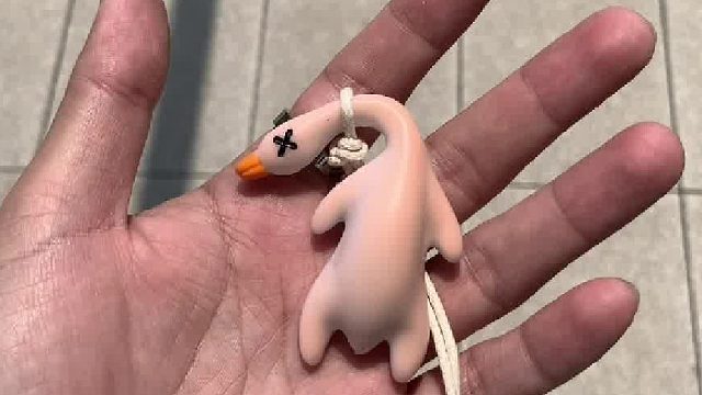 离谱又实用的鸭子