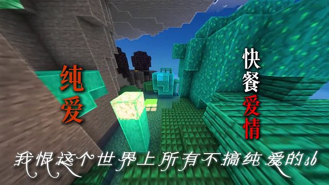 《被搅乱的爱情》