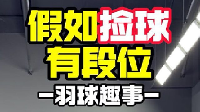 假如捡球有段位