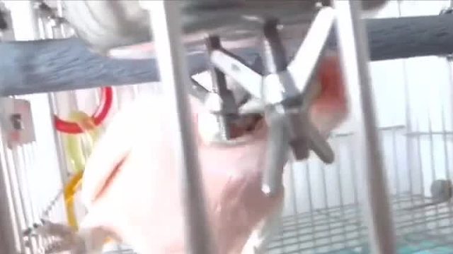 赶紧送进去打螺丝