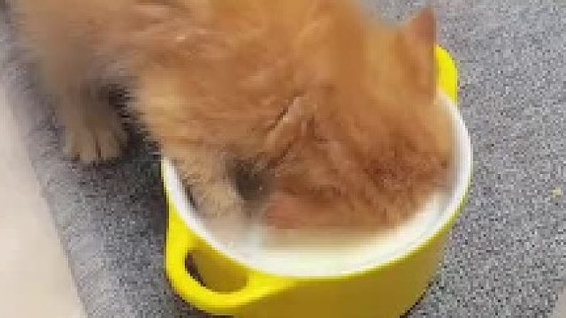 吃饭洗脸洗头一气呵成