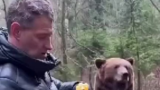 蜂蜜就收买了吗