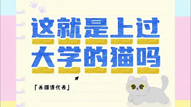 去医院看看吧，猫咪一直不说话也不是事啊