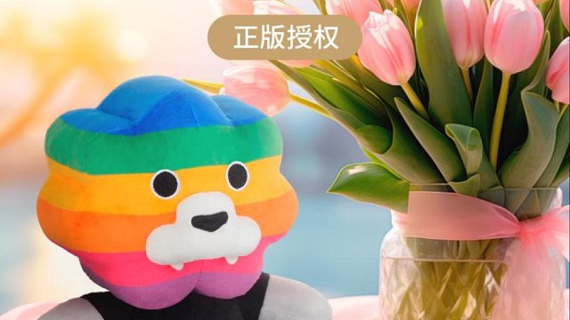 眼里有光，就能看见彩虹，彩虹狮花湾毛绒玩具