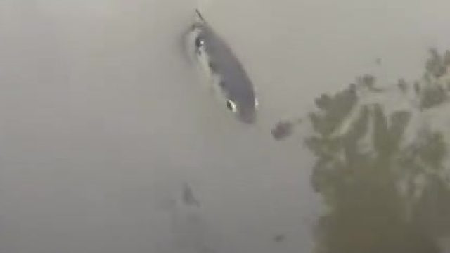 鱼：下来单挑啊