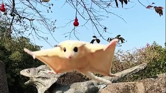 要培养一些兴趣爱好，去积攒和发现生活中微小的美好和快乐吖