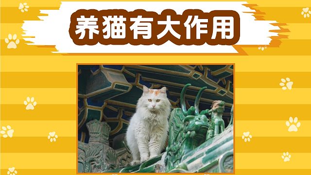 养狗不怕贼，养猫不怕鬼