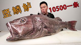 10500買一條很多人都不認(rèn)識的魚，真的好吃嗎？