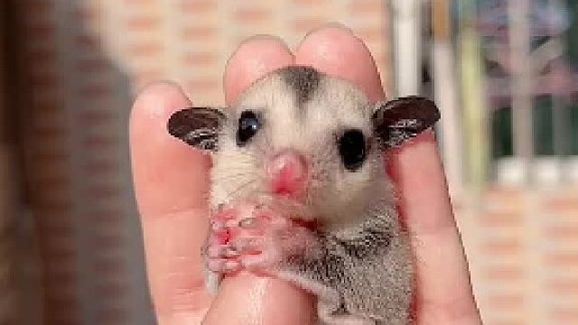 一晃又一年，年年胜年年