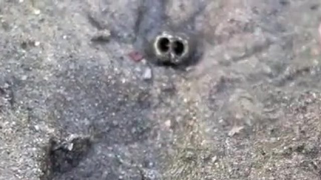 你是准备回家的空军佬吧