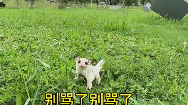 这小脾气，追不上急眼了