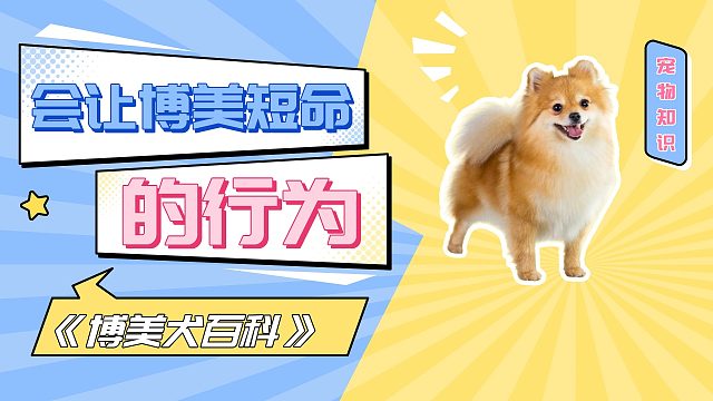 会让博美短命的行为，你还在做吗？