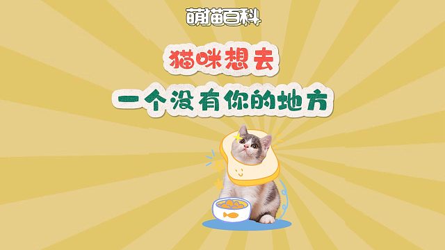 很明显，猫咪想去一个没有你的地方