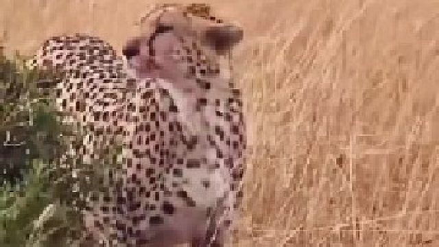 这是什么操作？二哥和三哥的关系这么好！