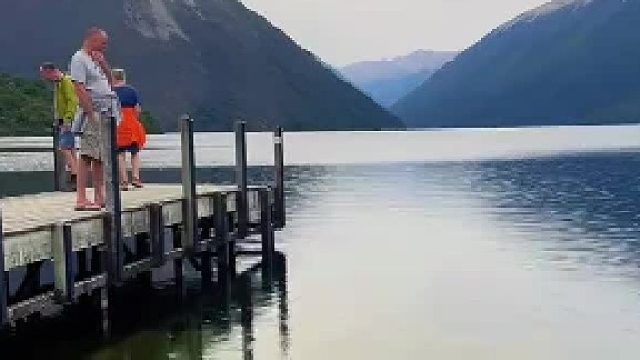 新西兰没有蛇，但有这个