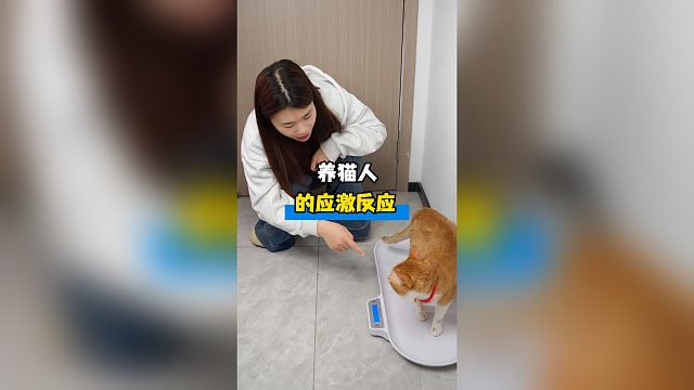 养猫人的应激反应，看你中几个？