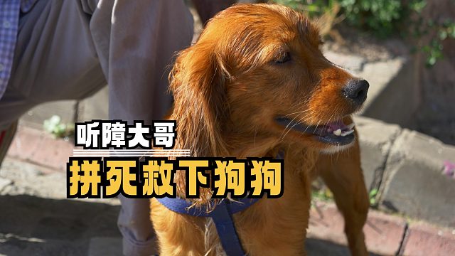 上次没有保护好你，这次一定要带你回家