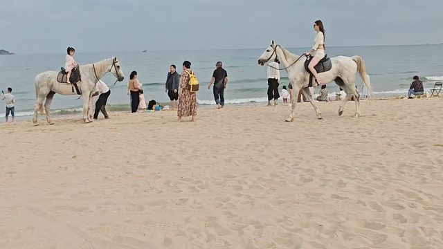 园神，启动！海棠广场-片段1