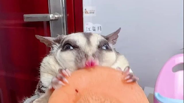 出息了，可算是吃到了画的大饼了。大家都吃饭了吗