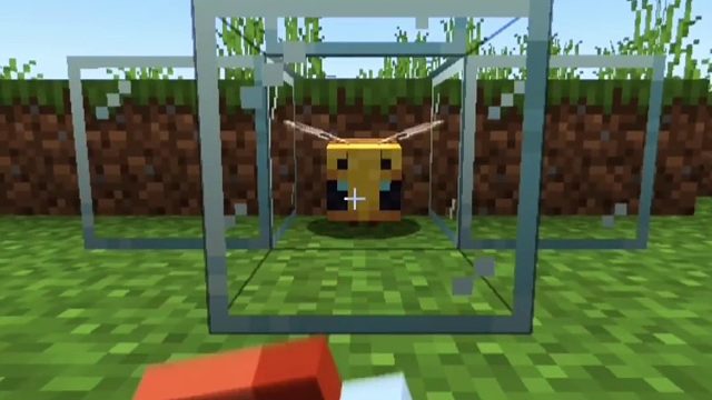 蜜蜂：我以后再也不会这样了！