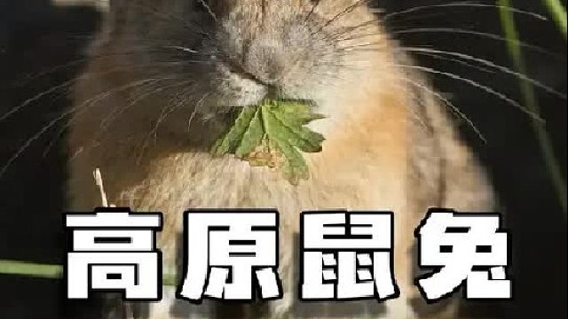 生活不要太计较，睁开眼睛又活了一天