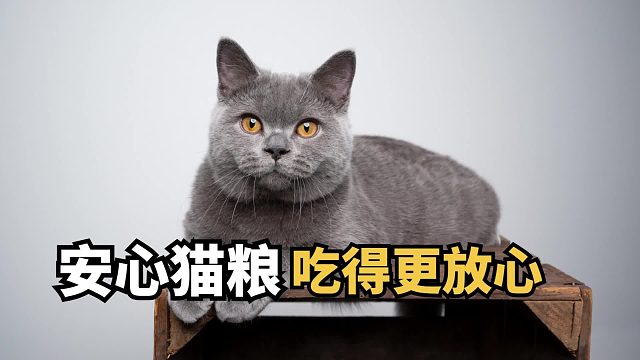 品质猫粮：质检严格且营养美味