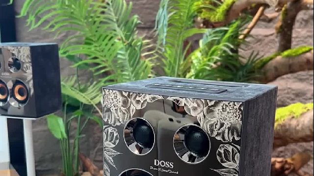 真正的放松，是让耳朵‘看见’森林，DOSS乐宴全景声音响