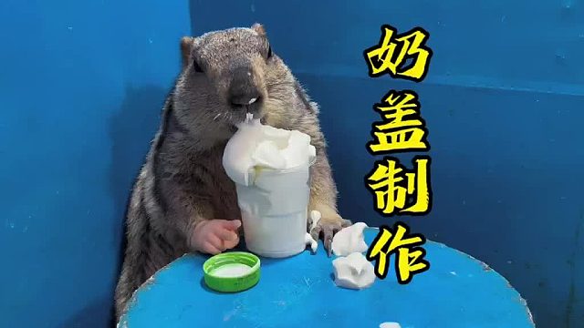 你们学会了吗？