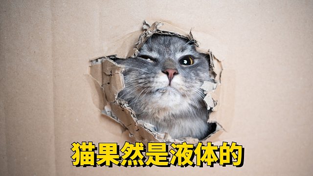果然，《猫和老鼠》是纪录片！