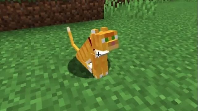 你好朋友会做的事情！