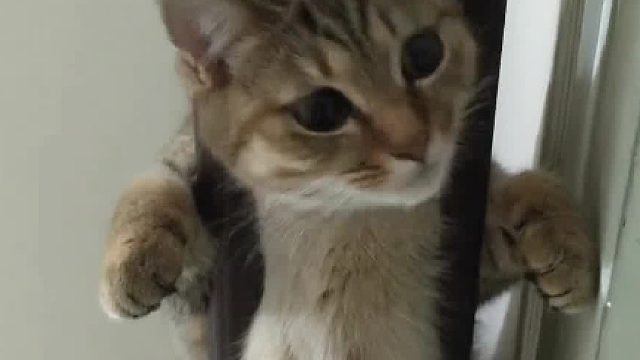 家人们真的笑不活了