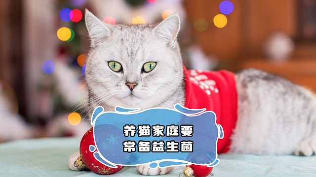 养猫家庭常备的益生菌，终于有活动啦