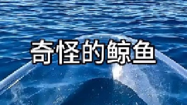 男子在海面划船 发现奇怪的现象