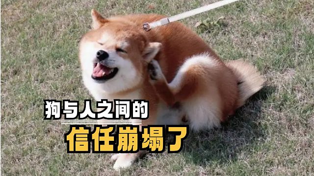 低情商：坐！高情商：戳你屁股咯