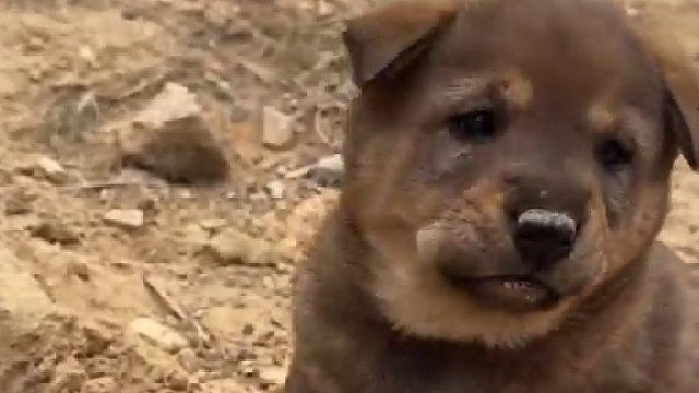 我不管，我就要黑的