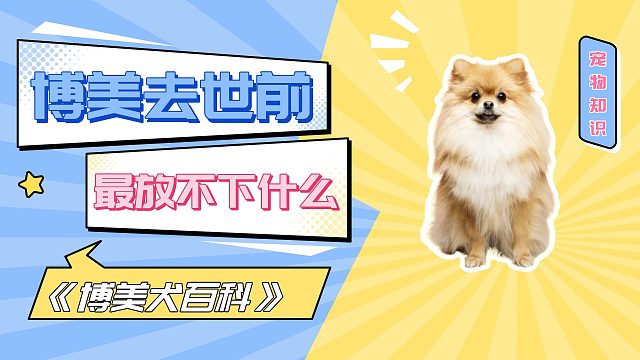 博美临终前，最放不下什么？