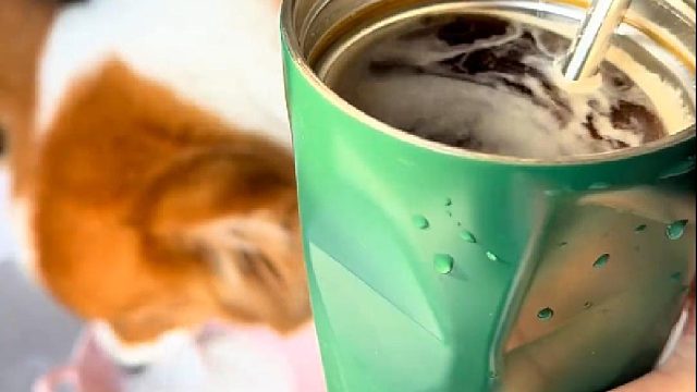 姐弟悠闲下午茶，很闲，真的很闲